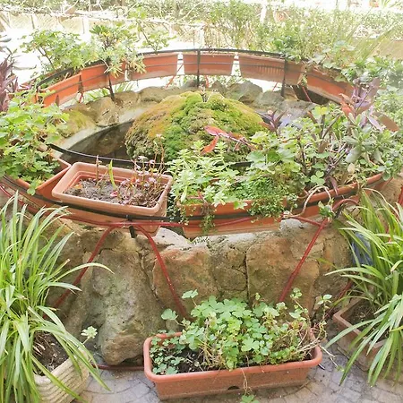 Larissarooms